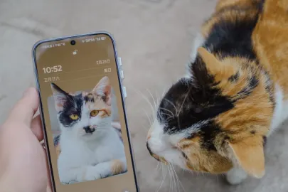 Vesper Kasino Mobilná aplikácia